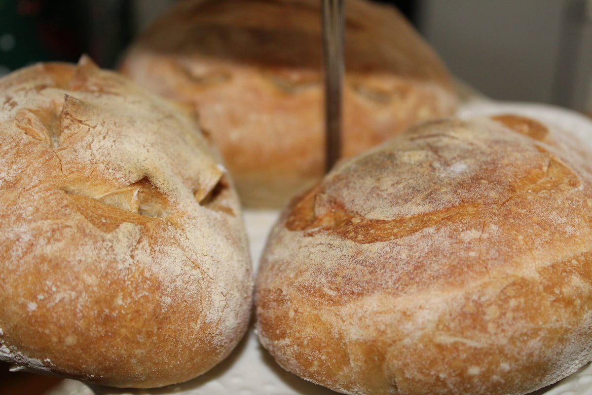 Bread of Life Focaccia